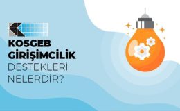 Girişimcilik Destek Programının Tanıtımı