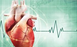 Kalp Kapak Hastalığına Dikkat! Mitral Kapak Hastalığı Nedir? Nelere Dikkat Etmeliyiz? 