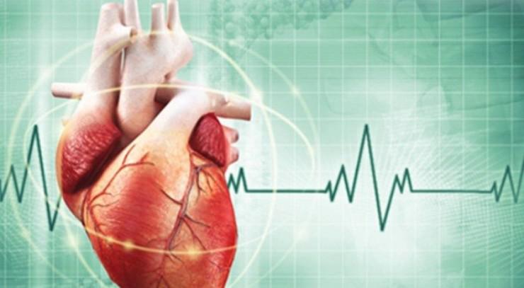 Kalp Kapak Hastalığına Dikkat! Mitral Kapak Hastalığı Nedir? Nelere Dikkat Etmeliyiz? 