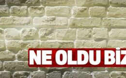 Ne Oldu Bize