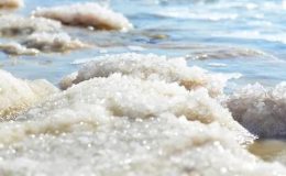 Ölü Deniz Tuzu Şampuanı Nasıl Yapılır?