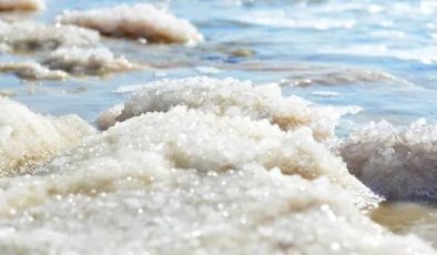 Ölü Deniz Tuzu Şampuanı Nasıl Yapılır?