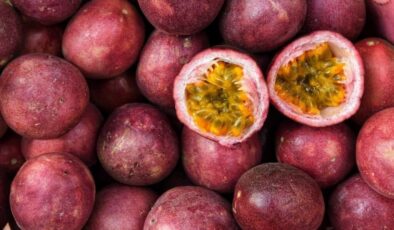 Passiflora Çarkıfelek Meyvesi Yetiştiriciliği