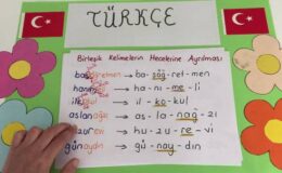 4. Sınıf Türkçe Kelime Çeşitleri Basit ve Türemiş Kelimeler