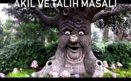 Akıl ve Talih
