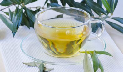 Zeytin Yaprağı Çayı Faydaları Nelerdir, Nasıl Demlenir?