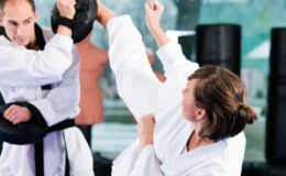 Taekwondonun yıllara göre gelişimi