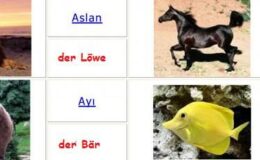 Almanca Hayvan İsimleri