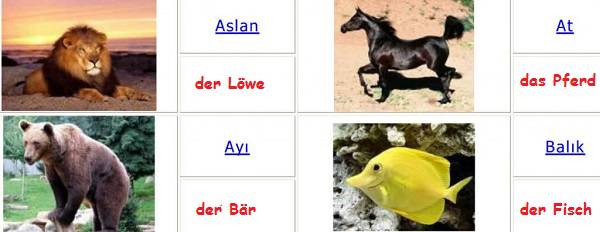 Almanca Hayvan İsimleri