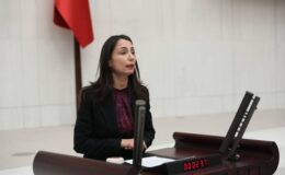 Yeşil Sol Parti Adana Milletvekili Tülay Hatimoğulları Kamu Çalışanları Deprem Tazminatı Hakkında Soru Önergesi Verdi