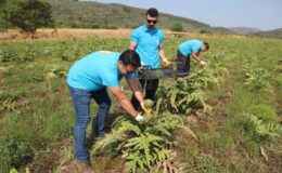 Belediyenin Tarımsal Kalkınma Çalışmaları Sürüyor