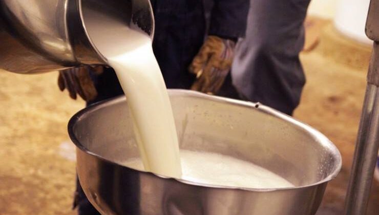Çiğ Sütün Perakende Satışına Düzenleme