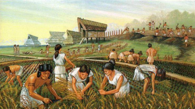 Tarımın Tarihi
