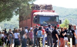 Akbelen Ormanlarında “büyük buluşma” eylemi düzenlenecek