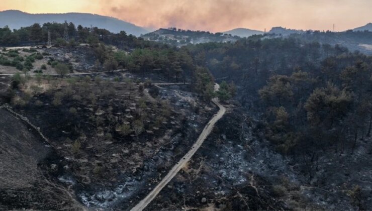 Çanakkale’de yangının boyutu gün ağarınca ortaya çıktı