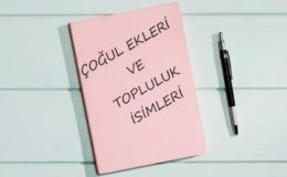 4. Sınıf Türkçe Çoğul Ekleri Ve Topluluk İsimleri