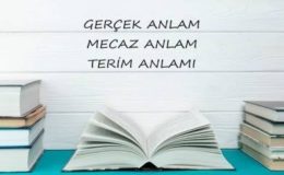 4. Sınıf Türkçe Gerçek Anlam Mecaz Anlam Terim Anlamı