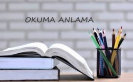 4. Sınıf Türkçe Okuma Anlama Etkinliği