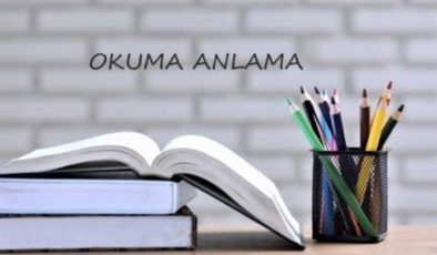 4. Sınıf Türkçe Okuma Anlama Etkinliği