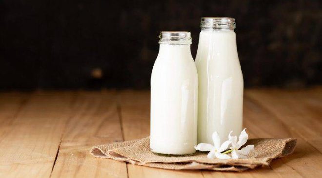 Kaliteli Süt Nasıl elde edilir? Bilinmesi Gerekenler