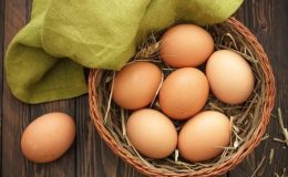 Yavru Canlıların Konforlu Barınağı: Yumurta