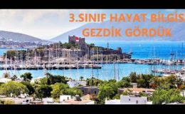 3.Sınıf Hayat Bilgisi Yakın Çevremizdeki Tarihi Değerlerimizi Tanıyalım Ve Tanıtalım