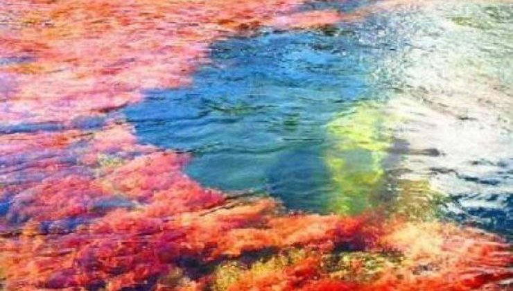 Binlerce Renk Tonunu Barındıran Nehir