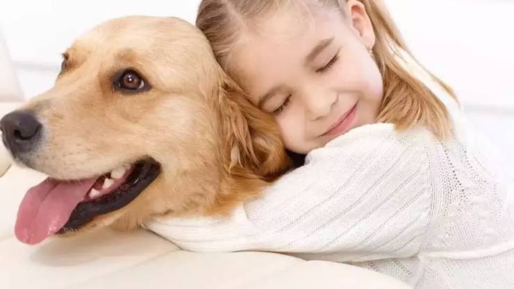 Köpek ve Çocuk