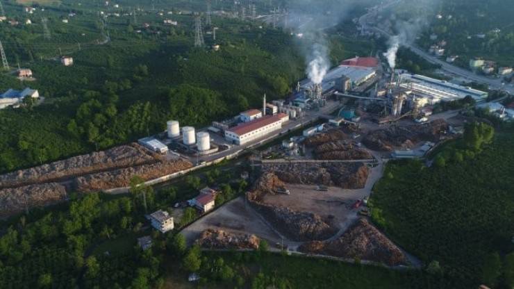 Orman Sanayi – Kağıt Fabrikaları​
