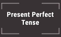 Present Perfect Tense Olumlu cümleler – Present Perfect Tense Olumsuz Cümle Örnekleri