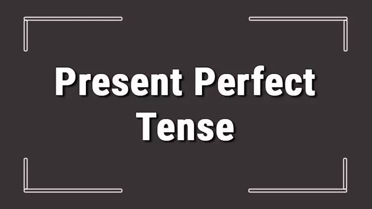 Present Perfect Tense Olumlu cümleler – Present Perfect Tense Olumsuz Cümle Örnekleri
