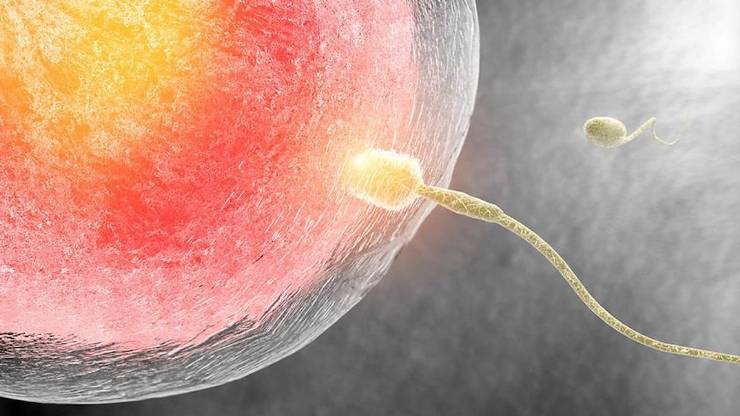 Sağlıklı spermlere sahip olmanın 10 yolu