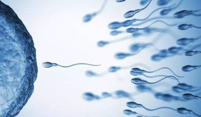 Sarımsak ve Sperm Hareketliliği