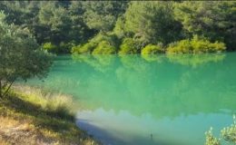 Çatalan Barajı Balık Avlak Yerleri