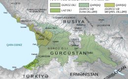 Güney Kafkas Dilleri