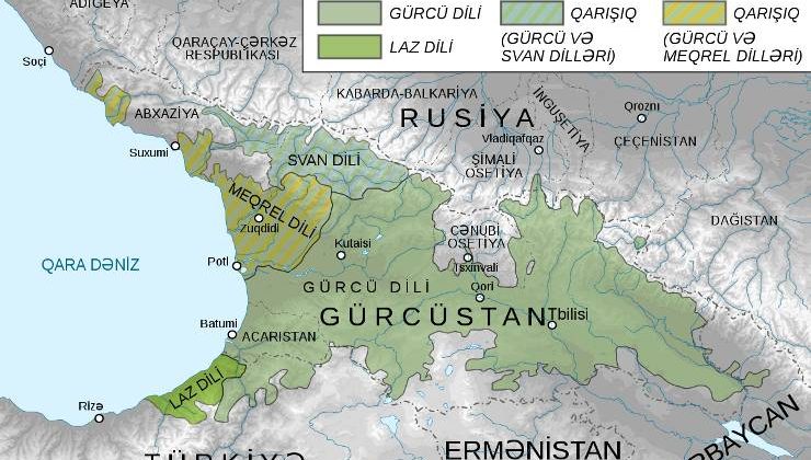 Güney Kafkas Dilleri