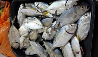 Hint Okyanusunda Kıyıdan Balık Avı İmkansızlıklarla (Antigron Kablodan Olta İğnesi) Sizden Gelenler