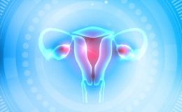 Myom Nedir ? Risk Faktörleri Nelerdir ? Çeşitleri Nelerdir ? Tedavisi Nasıldır?
