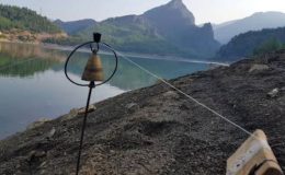 Sazan Avı ”Bugün de Sazan Biz Olduk”