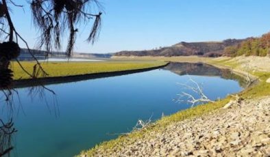 Sazan Avı Çatalan Barajı ”Çekiliş Var Shimano Fx4000 Makine Hediye Ediyoruz”