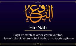 En Nafi’u Celle Celalühü