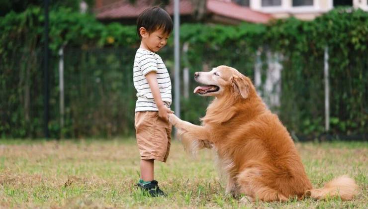 Köpek ve Çocuk