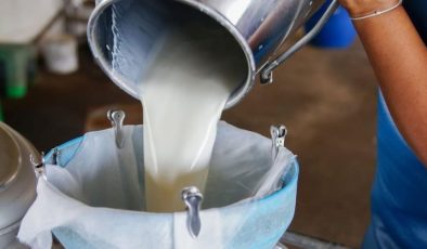 Süt Üretimi