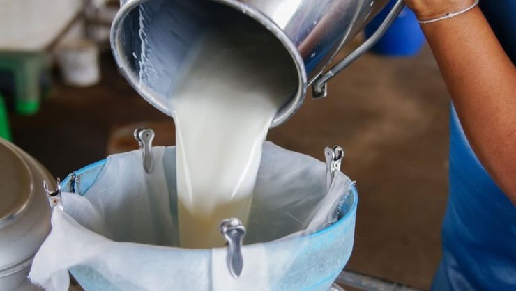 Süt Üretimi