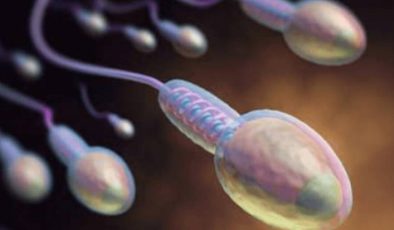 Toksinlerin Sperm üzerindeki olumsuz etkileri nelerdir?