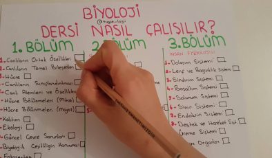 Biyoloji Dersine Çalışma Taktikleri