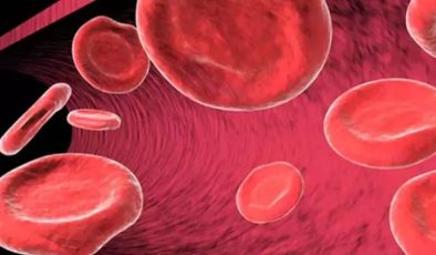 Kan Hücreleri ve Özellikleri