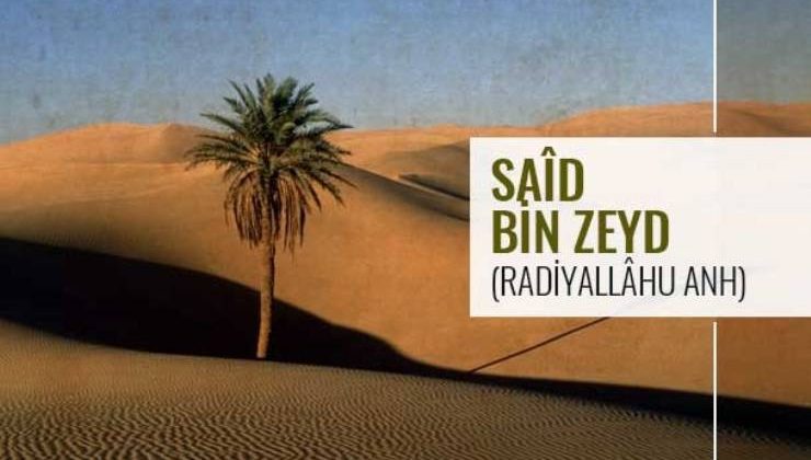 Said B. Zeyd