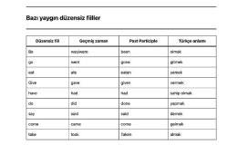Yardımcı Fiiller (Modals)