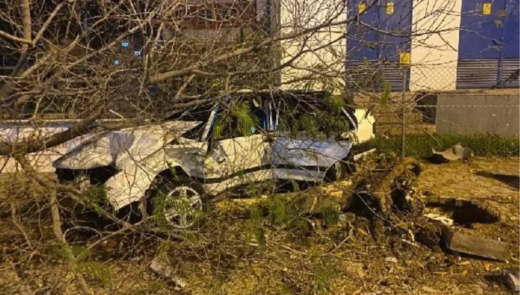 Ceyhan’da kaza: 5 kişi yaralandı